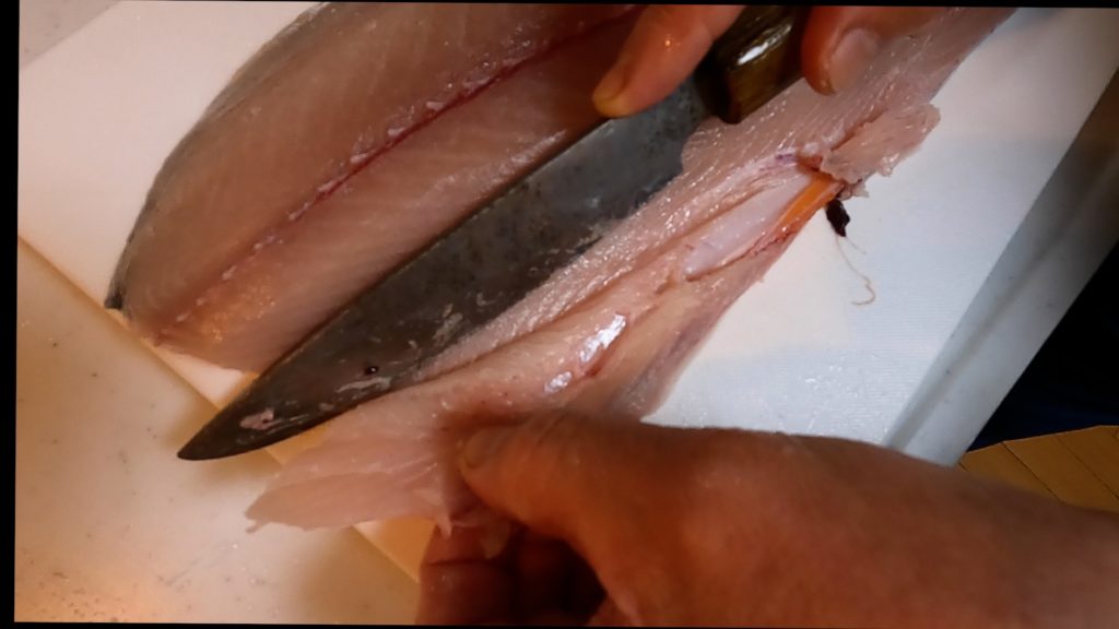 【さばき方】サワラ（鰆）三枚おろし方法。鮮度が命の美味しい魚！