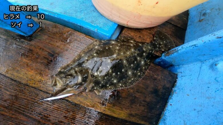 弘明丸でヒラメジギング 午前便で爆釣し10枚釣れた 福島県いわき市の四倉漁港より出船