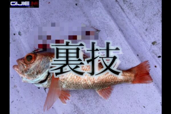 【釣れない人の特徴】オフショアジギング編！釣れる人との釣果の差はなぜか？