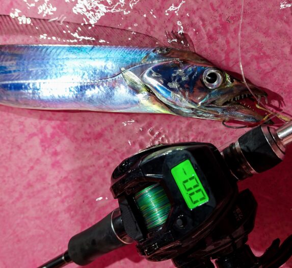 デカイ液晶は釣果UPの鍵】ヴィレイヤー DGが話題の理由！これで テイルウォーク(tailwalk) ヴィレイヤー DG オプショナルスプール (VILAYER DG OPTIONAL SPOOL)